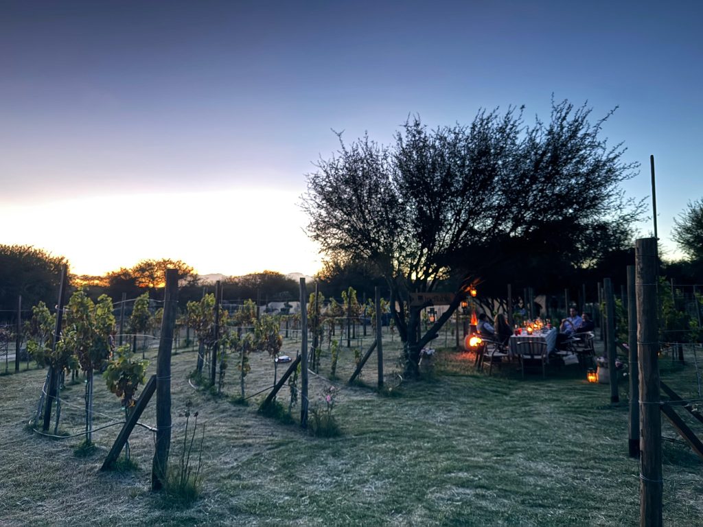 ilustración formulario